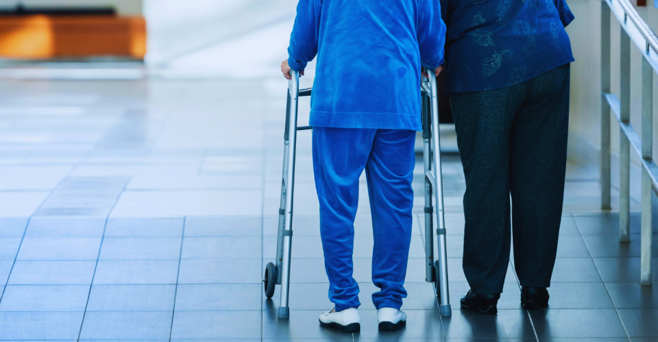 Untitled design - 2026-01-08T013859.539